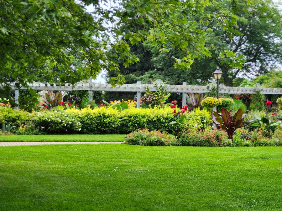 Layered planting beds and shaped shrubs beside a trimmed lawn