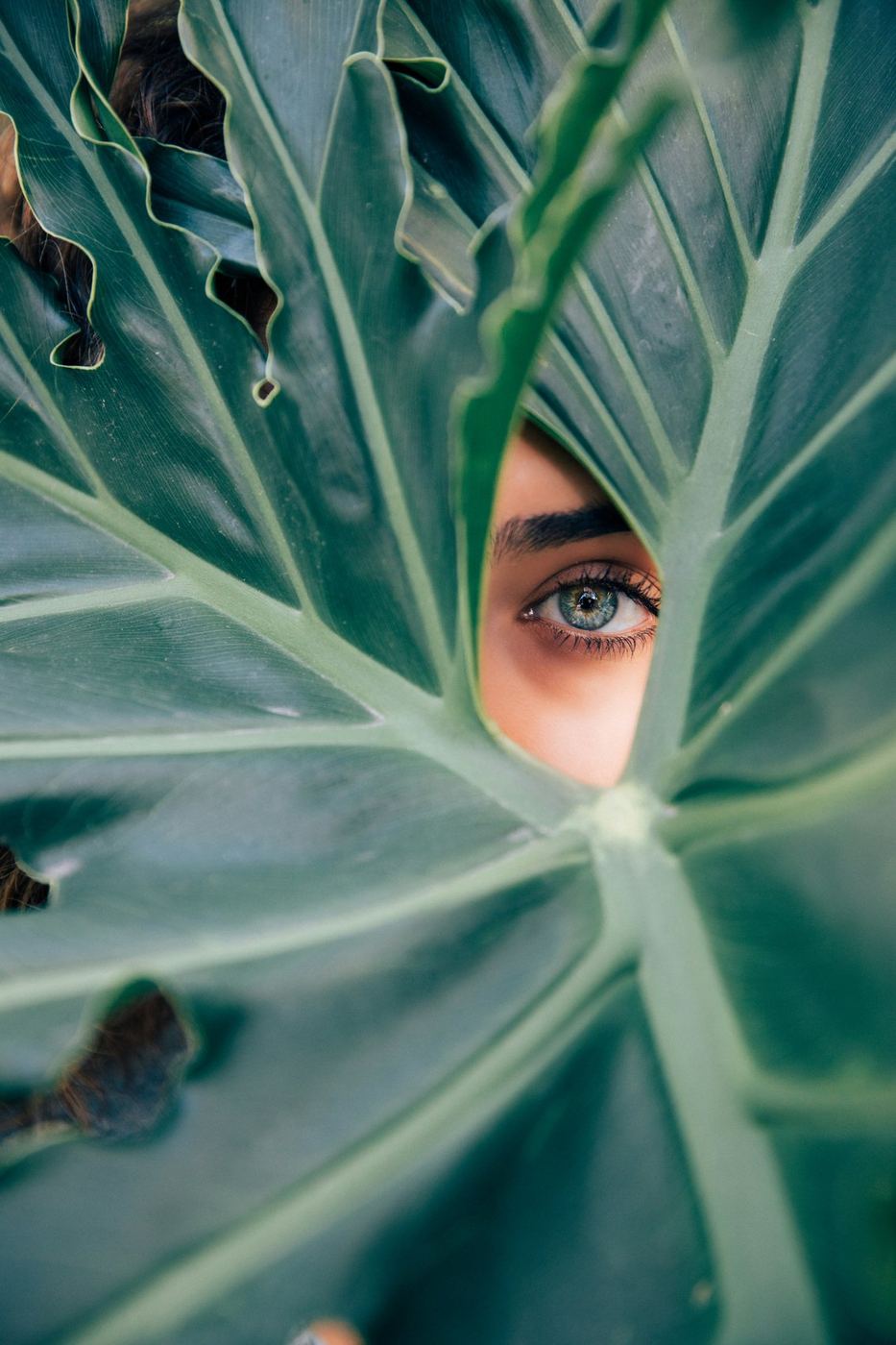 A woman's eye framed by a large tropical leaf